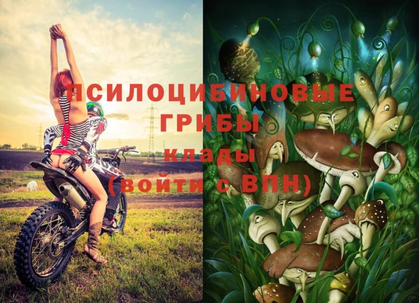 мет Аркадак