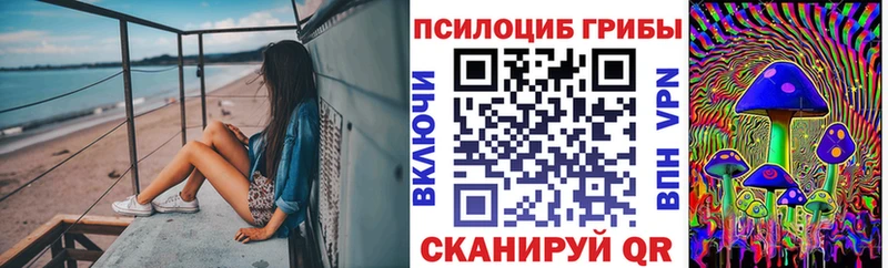 Псилоцибиновые грибы Magic Shrooms  Купить закладки  Бутурлиновка 